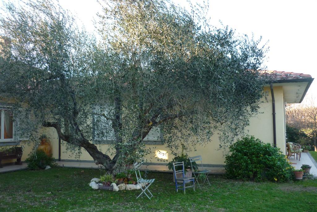 B&B Alle Terme Viterbo Exterior foto